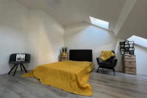 spacieuse chambre meublée